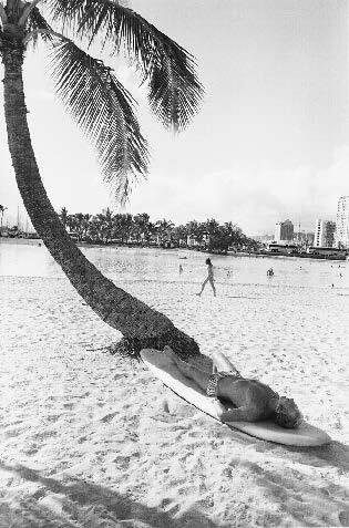 Waikiki No. 20