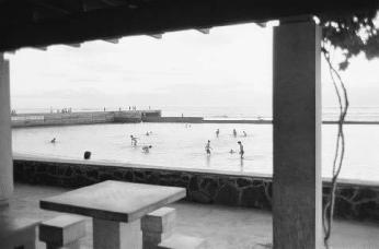 Waikiki No. 24