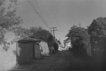 Night Walk No. 56