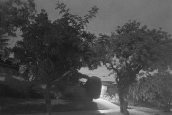 Night Walk No. 60