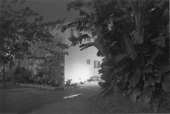 Night Walk No. 43