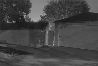 Night Walk No. 27