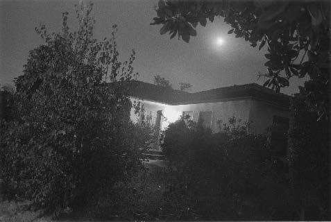 Night Walk No. 12