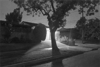 Night Walk No. 45