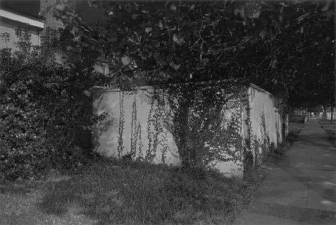 Night Walk No. 32