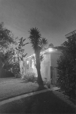 Night Walk No. 46