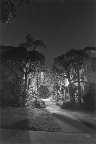 Night Walk No. 23