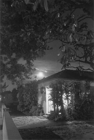 Night Walk No. 47