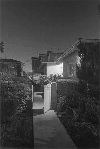 Night Walk No. 33