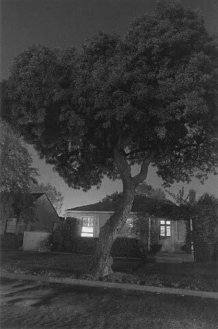 Night Walk No. 31