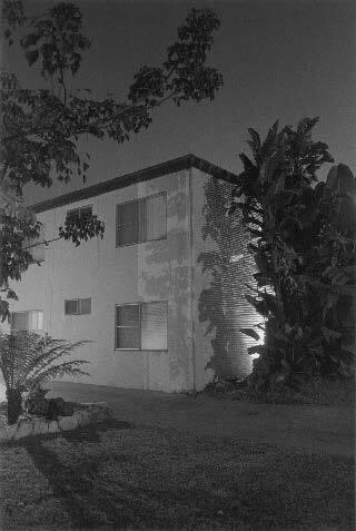Night Walk No. 48