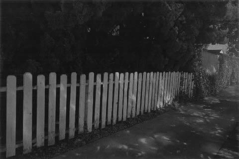 Night Walk No. 11