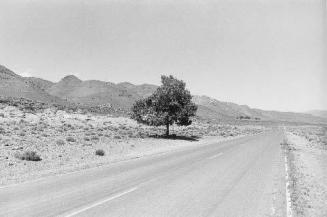 Continental Divide No. 23