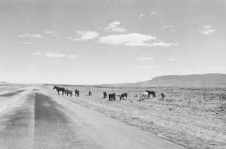 Continental Divide No. 25