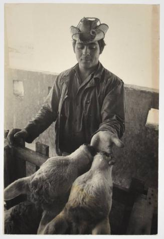 from the series Pinos nuevos