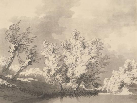 Fig. 5.1. John Robert Cozens, Willow, 1789, plate from Delineations of the General Character, R ...