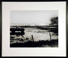 Flooded Farmland, Forked Island