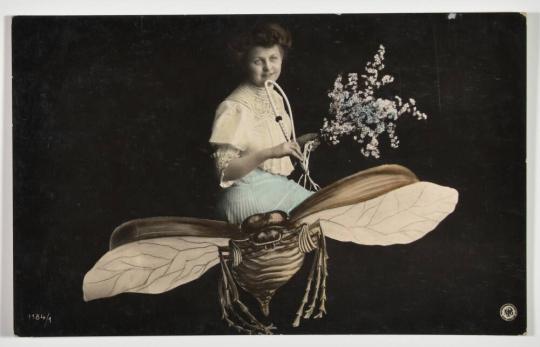 [Photomontage of Woman Holding Flowers and Riding an Insect]