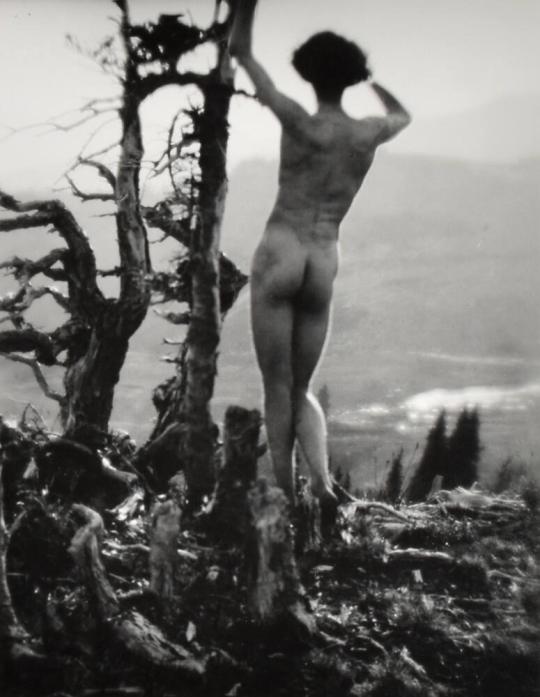 On Mount Rainer 5