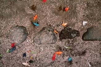 Fallen Origami, Kyoto, Japan