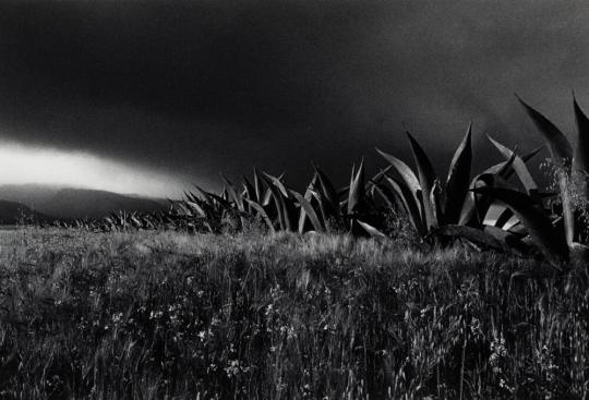 Magueyes, Tulancingo, Mexico