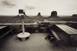 Monument Valley Dog, Utah