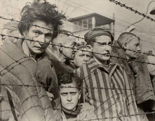 Auschwitz Prisoners