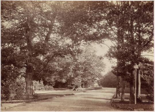 [Bois de Boulogne, Paris]