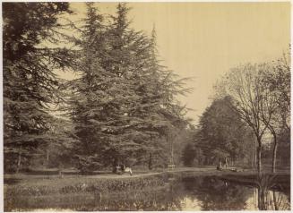 [Bois de Boulogne, Paris]