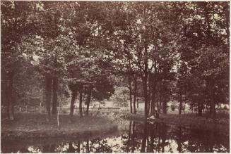 [Stream of Armenonville, Bois de Boulogne, Paris]