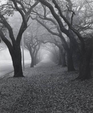 Beyond the Hedges