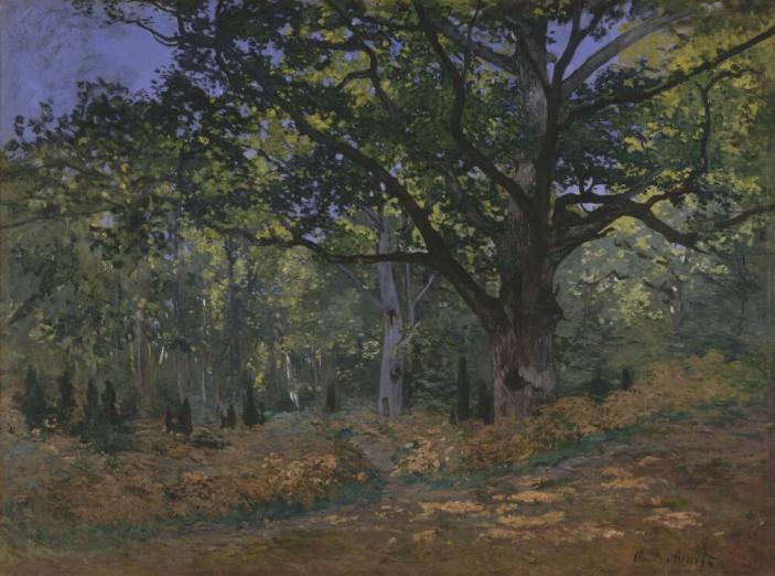 Fig. 64.3. Claude Monet, Bodmer Oak, Fontainebleau Forest, 1865, oil on canvas, The Metropolita ...
