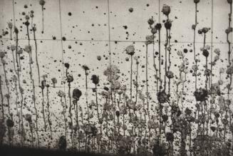 Untitled [Blood on the wall]