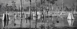 Atchafalaya Basin, Louisiana