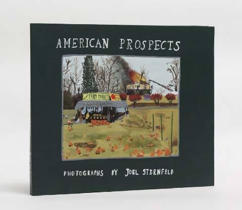 Joel Sternfeld, American Prospects