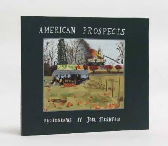 Joel Sternfeld, American Prospects