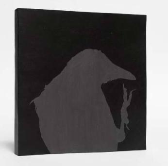 Masahisa Fukase, Karasu