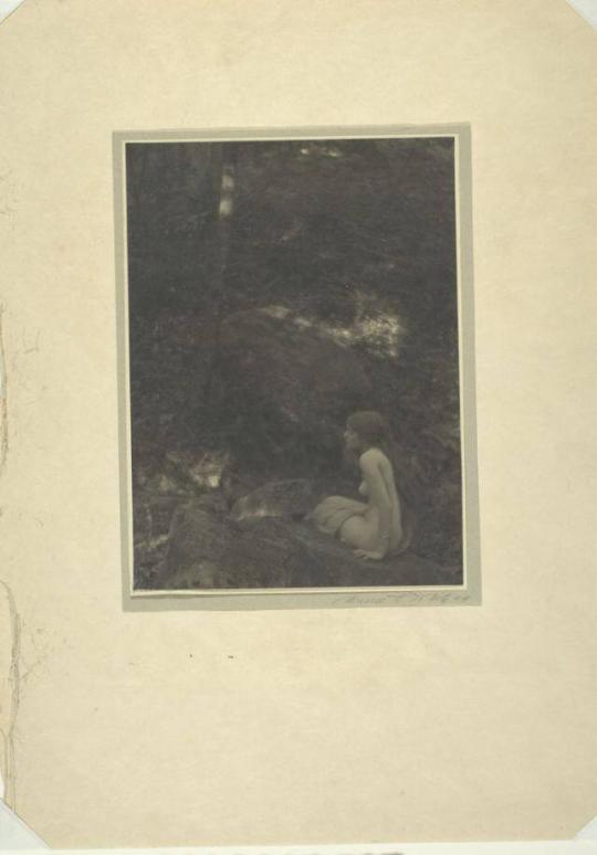 Nude in Forest (Mabel Cramer)