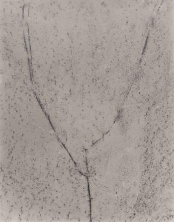 Untitled (Studio Test)