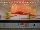 Installation of “Ernesto Neto: SunForceOceanLIfe” on view at the Museum of Fine Arts, Houston,  ...