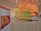 Installation of “Ernesto Neto: SunForceOceanLIfe” on view at the Museum of Fine Arts, Houston,  ...