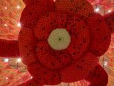 Installation of “Ernesto Neto: SunForceOceanLIfe” on view at the Museum of Fine Arts, Houston,  ...