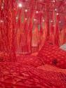 Installation of “Ernesto Neto: SunForceOceanLIfe” on view at the Museum of Fine Arts, Houston,  ...