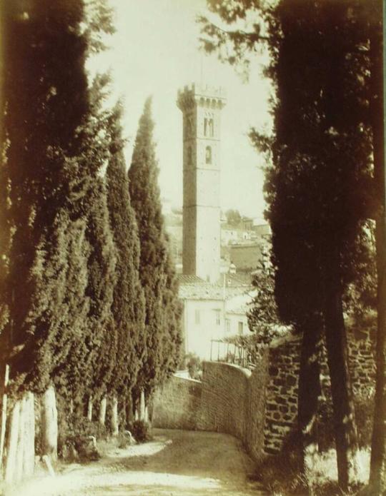 Fiesole-Il Campanile della Cattedrale visto dal Cimitero.