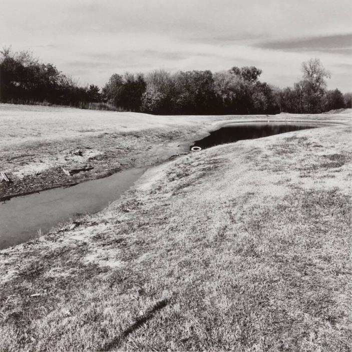 Nancy Friedrich, Fort Worth, Texas