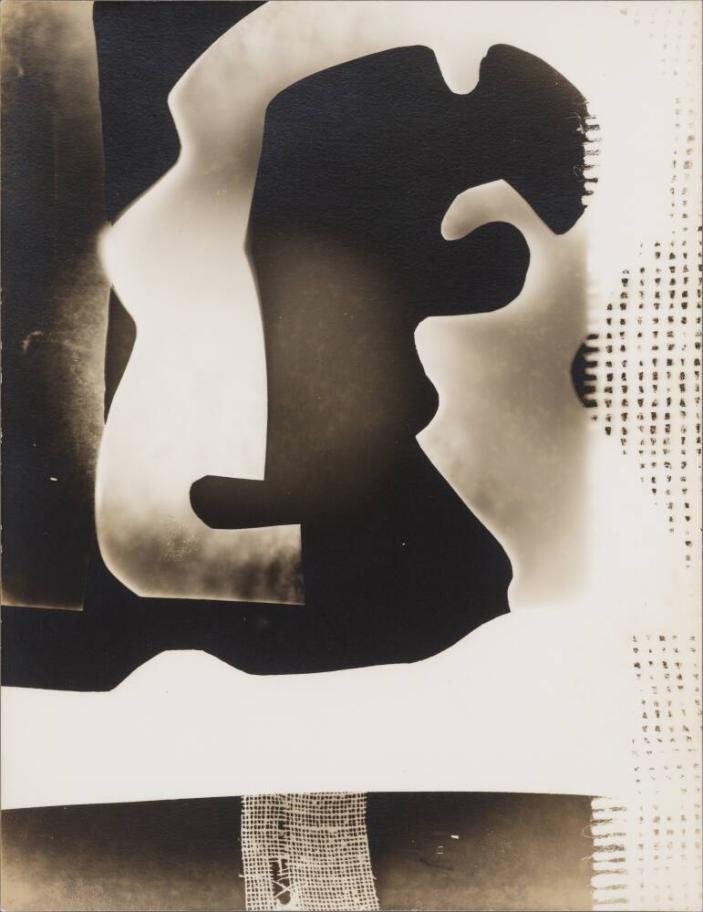 Untitled (Photogram Abstraction)