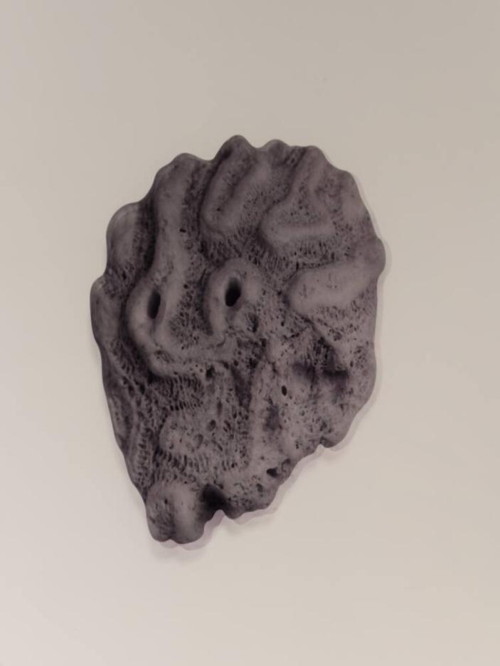 Geo #37 (Double)
