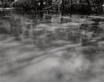 Light on the Swamp