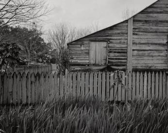 Picket Fence, Tree, and Cabin