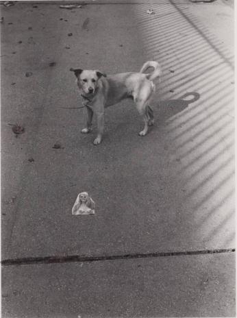 [Dog, Cut-out of Naked Woman's Torso on Sidewalk]